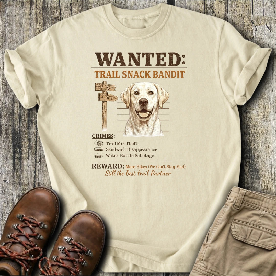 https://wescale-cdn.com/generated-mockups/668f911b-da79-4036-ae58-c845e2207a30/79897c00-f310-471e-a773-89a7f2d47435/0de4e2d0-05ca-4f08-9911-2c41741cc224_93dee9fc-9f4d-427f-a49b-b87fc580ef6d.webp