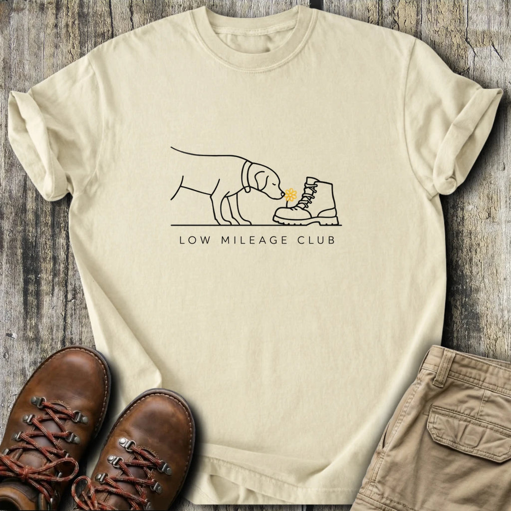 https://wescale-cdn.com/generated-mockups/668f911b-da79-4036-ae58-c845e2207a30/317109bb-99dd-4545-8cd0-b2c46930cc48/6721668d-d103-43cd-9c98-b3b6c4d60bda_05ebc135-f8d6-4f5d-a931-cb4bdbd8d5f3.webp
