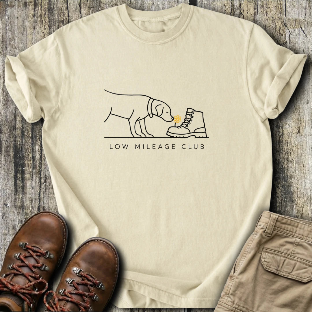 https://wescale-cdn.com/generated-mockups/668f911b-da79-4036-ae58-c845e2207a30/317109bb-99dd-4545-8cd0-b2c46930cc48/6721668d-d103-43cd-9c98-b3b6c4d60bda_05ebc135-f8d6-4f5d-a931-cb4bdbd8d5f3.webp
