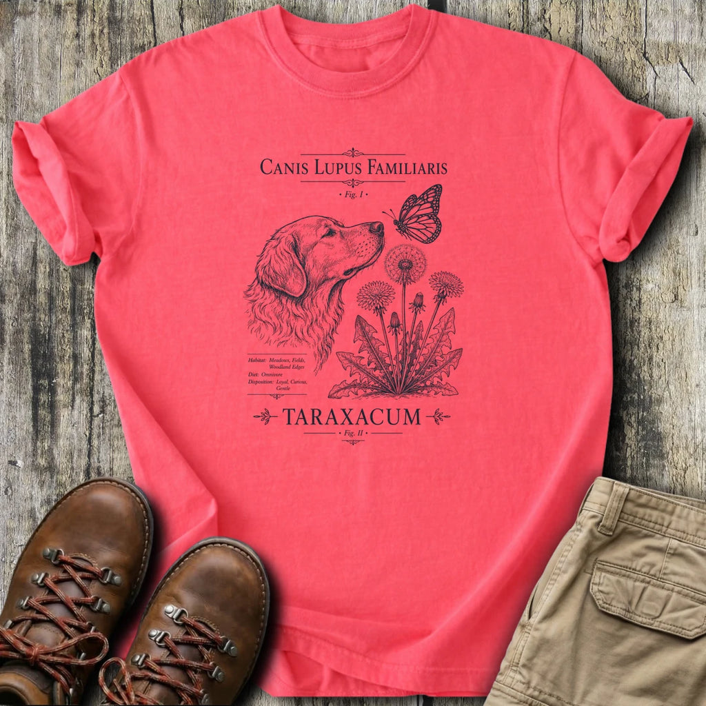 Coral Silk