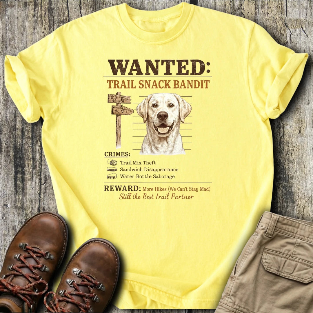 https://wescale-cdn.com/generated-mockups/668f911b-da79-4036-ae58-c845e2207a30/79897c00-f310-471e-a773-89a7f2d47435/fa3c17d6-ed87-49e1-bc7d-b371033ad3f9_93dee9fc-9f4d-427f-a49b-b87fc580ef6d.webp